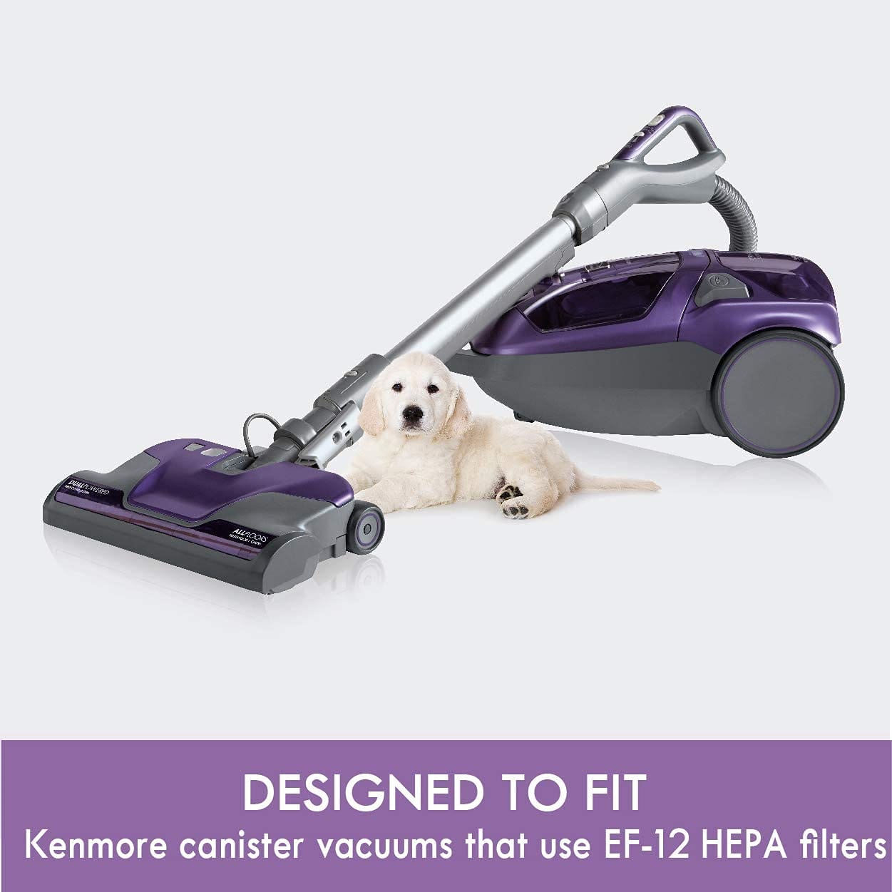 Kenmore 62731 HEPA Media Vacuum Cleaner Exhaust Air Filter for Canister Vacuum 81615 - Efficient Pet Hair Removal Filter - Review Image 2