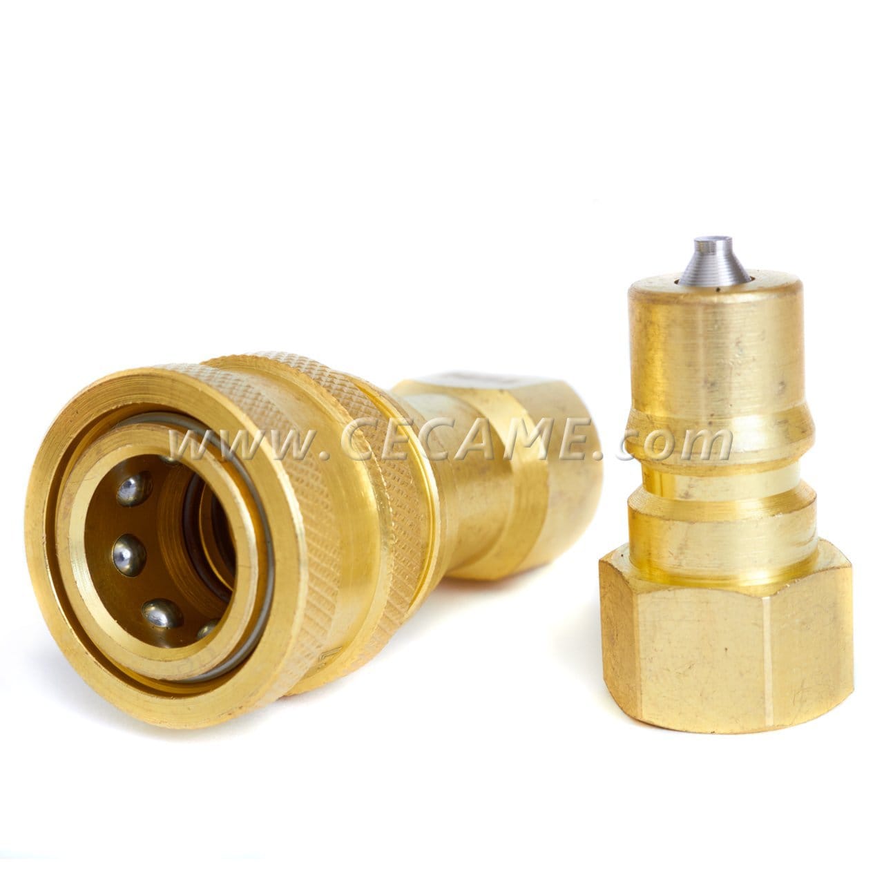 1/4 Inch Quick Disconnect Coupler Valve for Carpet Cleaning Wand Truckmount with FIP Pipe Connection