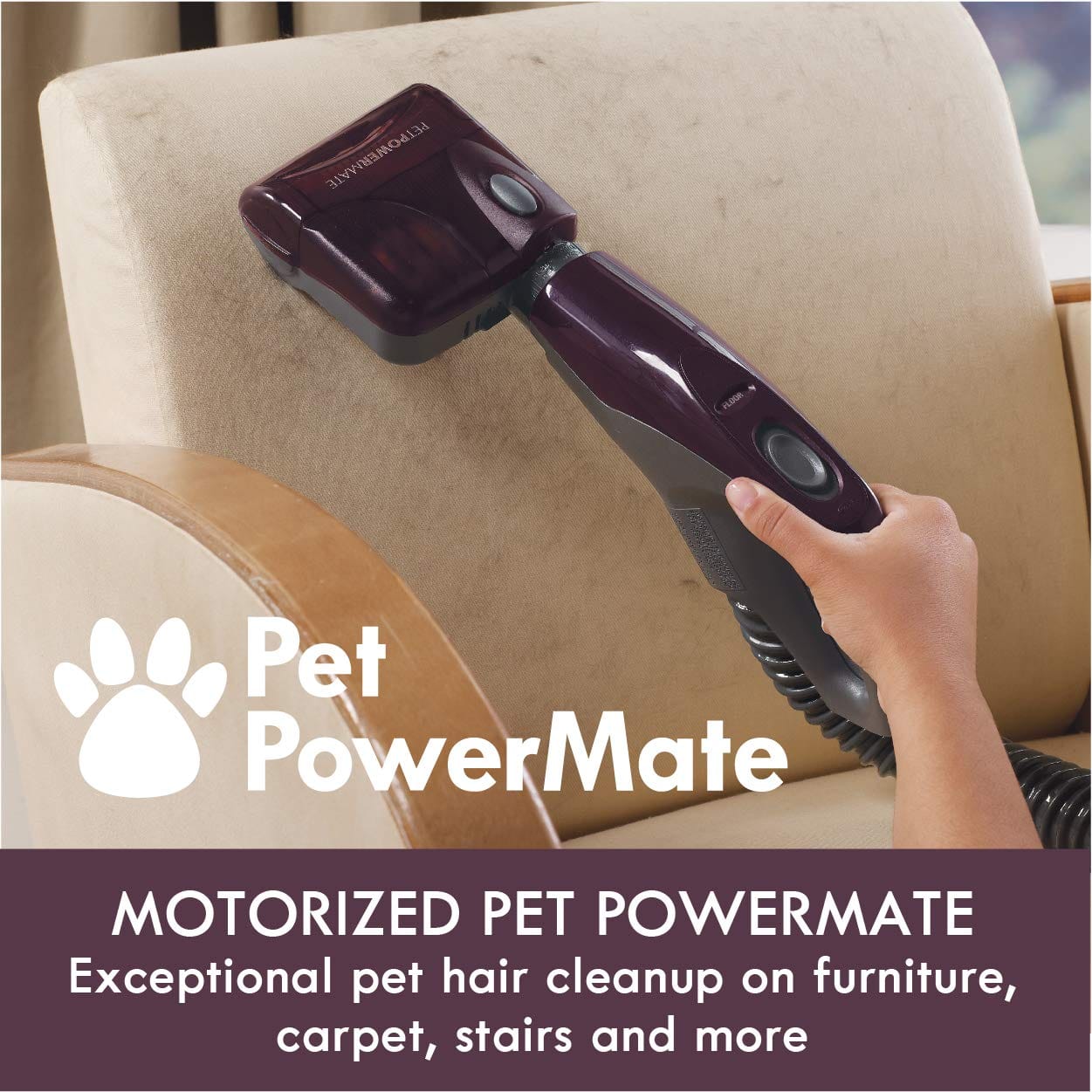 Kenmore Lightweight Bagless Canister Vacuum with Pet Powermate and Hepa Filter - Eggplant - Review Image 4