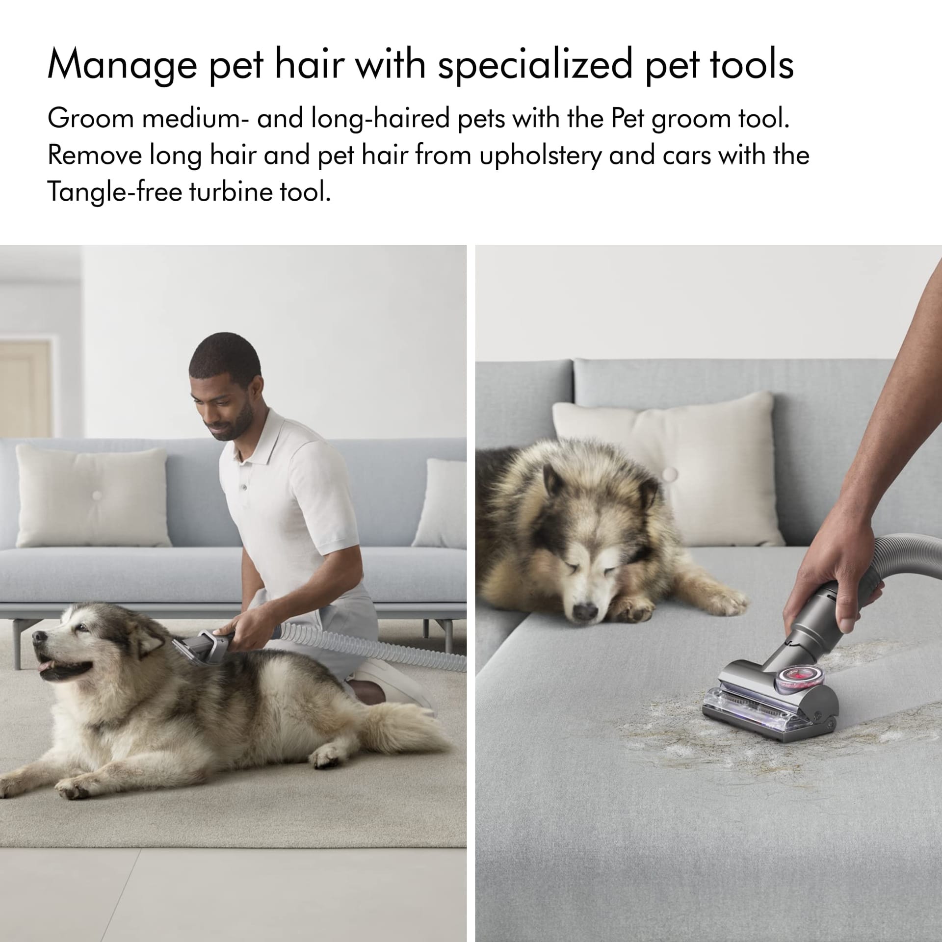 Dyson Ball Animal 3 Extra Upright Vacuum Cleaner with De-Tangling Technology - Review Image 3