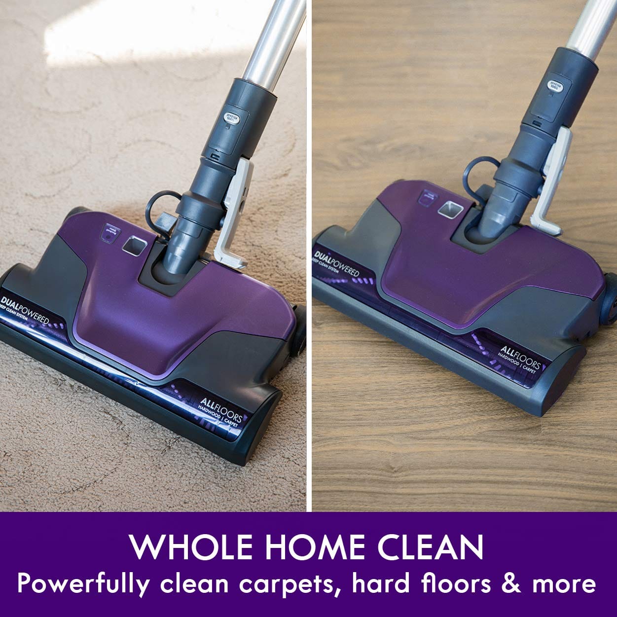 Powerful Kenmore 600 Series Bagged Canister Vacuum with Pet Powermate and HEPA Filter, Purple - Review Image 3