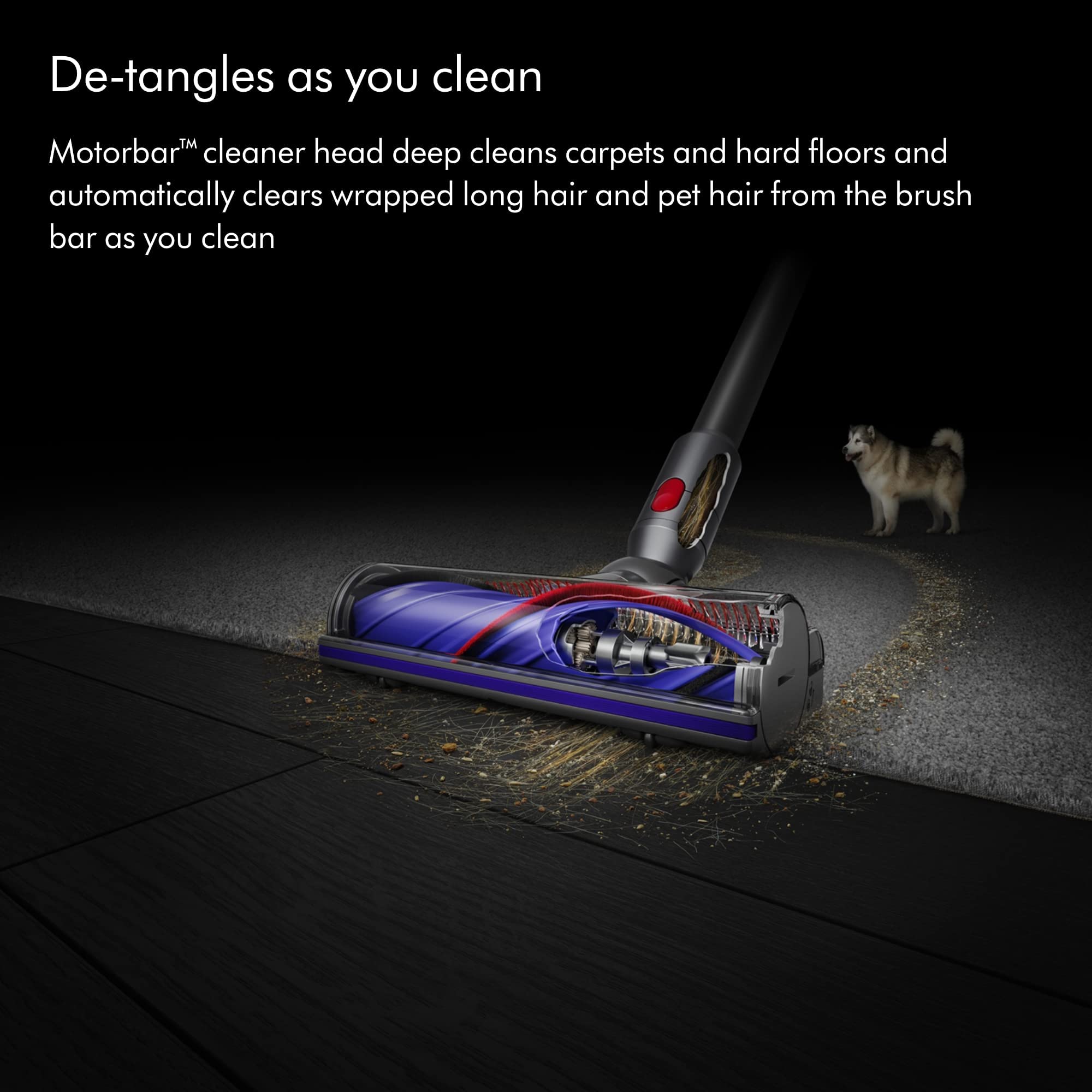 Dyson V8 Cordless Vacuum Cleaner with HEPA Filtration for Pet Hair Removal - Review Image 3