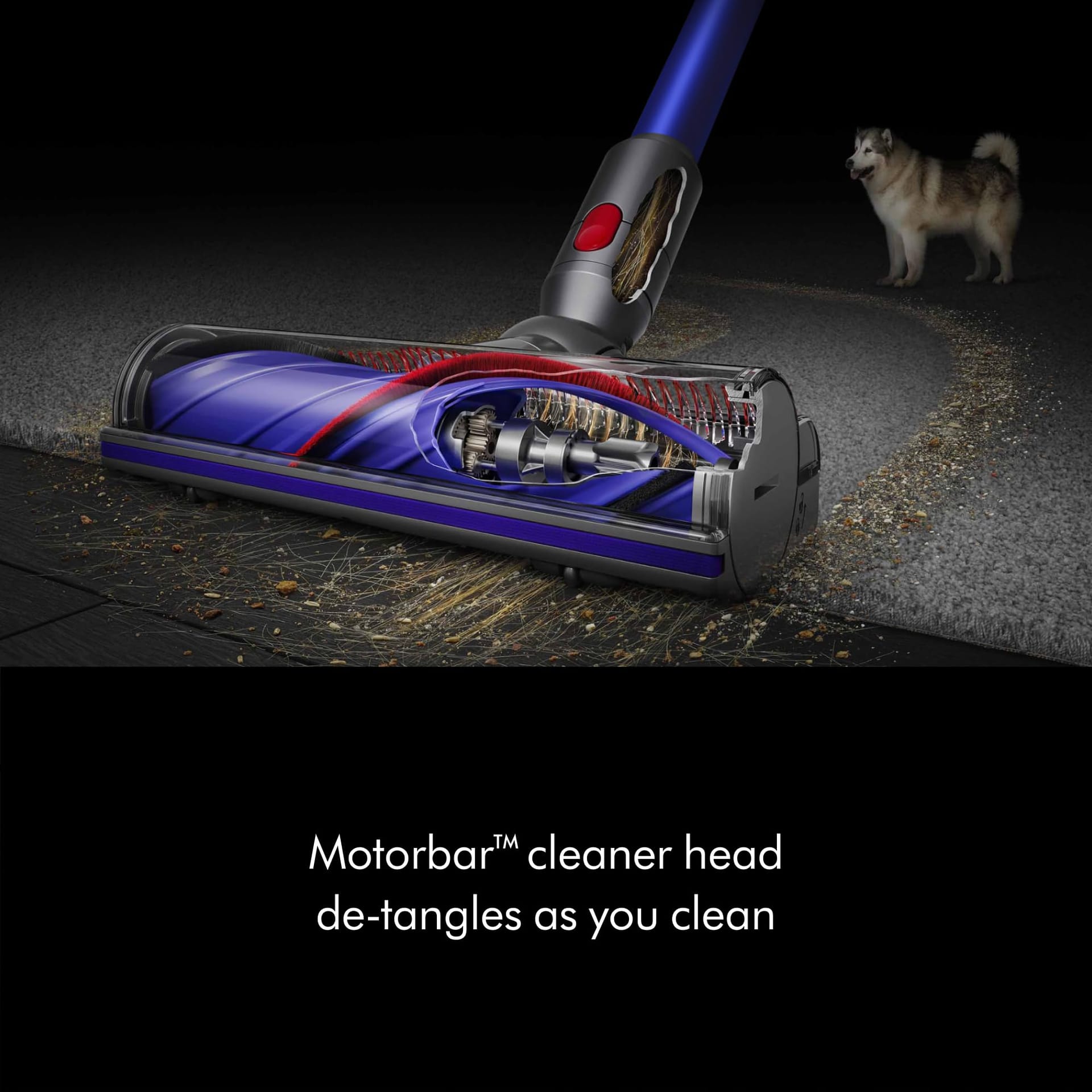 Dyson V11 Origin Cordless Vacuum Cleaner for Pet Hair, Nickel/Blue - Review Image 3