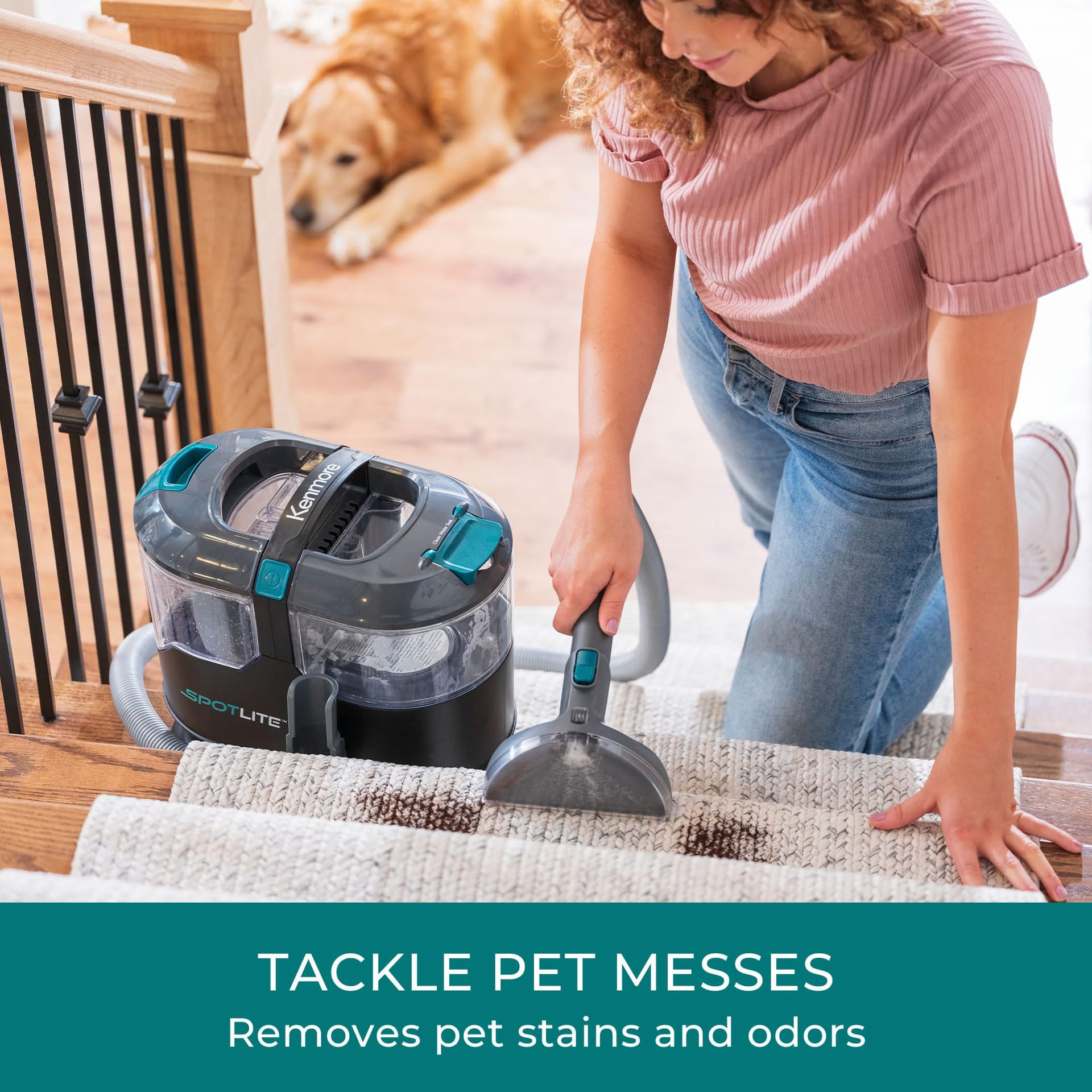 Professional Kenmore Ks1010 Deep Clean & Revitalize Pet Carpet Cleaner Formula, 64 Oz - Review Image 3