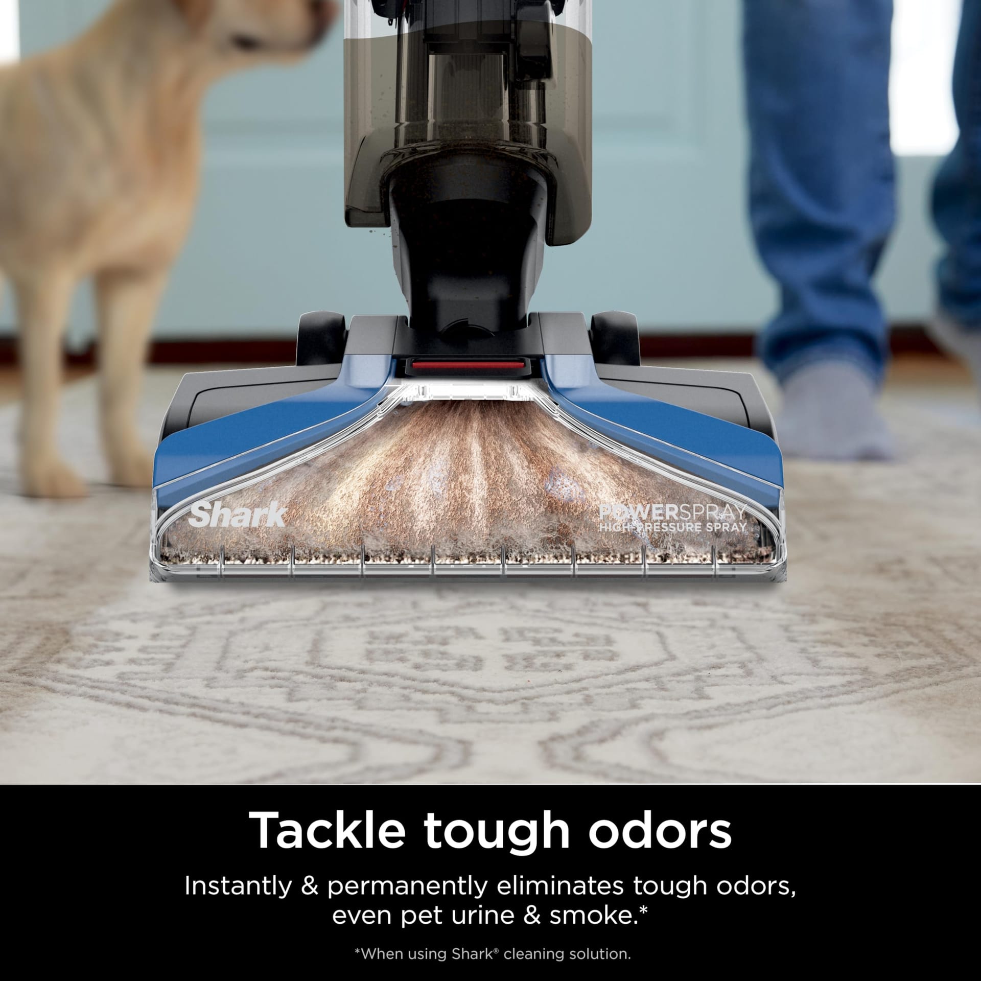Shark Carpetxpert Upright Carpet & Area Rug Cleaner for Pets, Deep Cleaning & Dirt Removal, Carpet Shampooer, Blue EX121BRN - Review Image 5