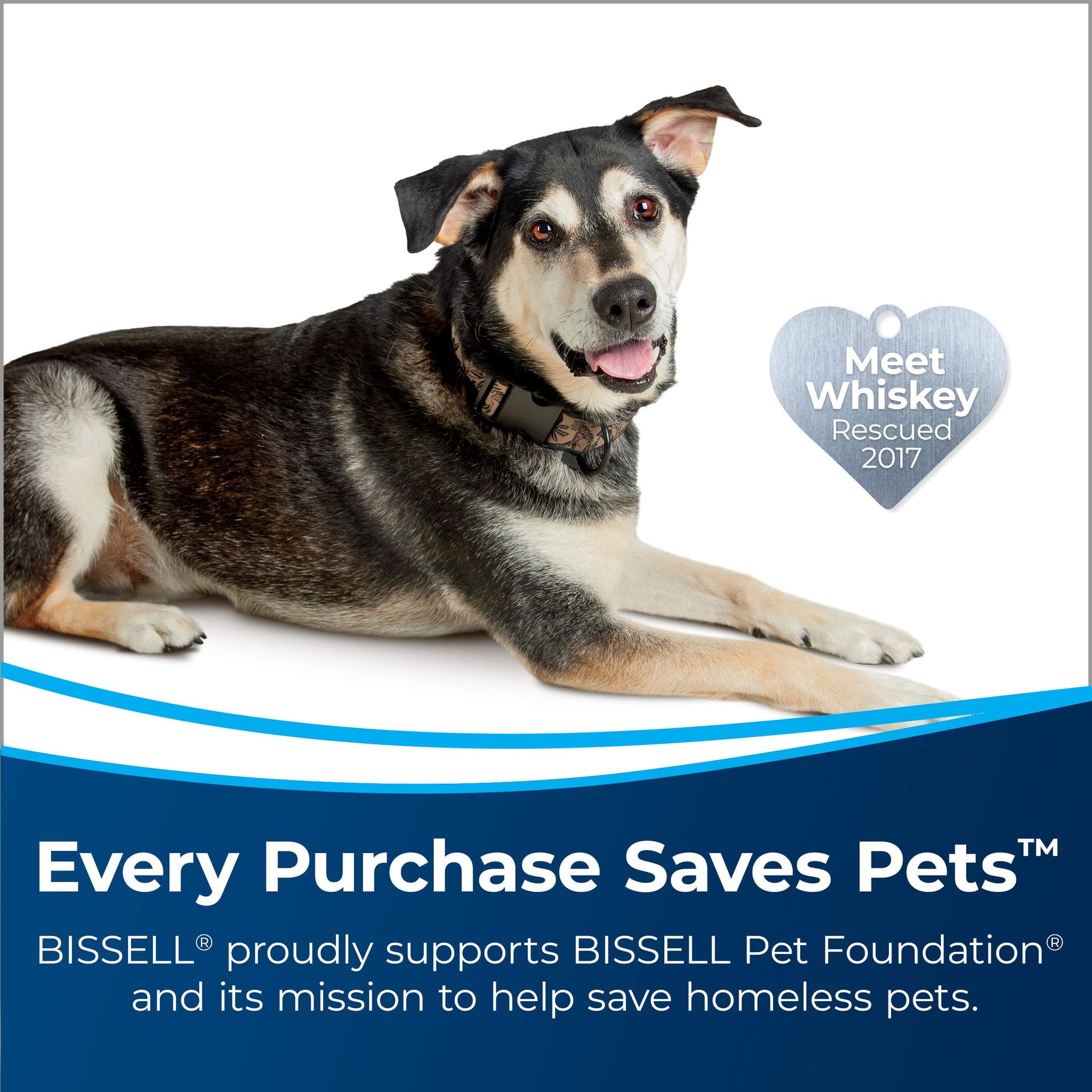 Lightweight Bissell Turboclean Powerbrush Pet Carpet Cleaner for Tough Pet Messes - Review Image 2