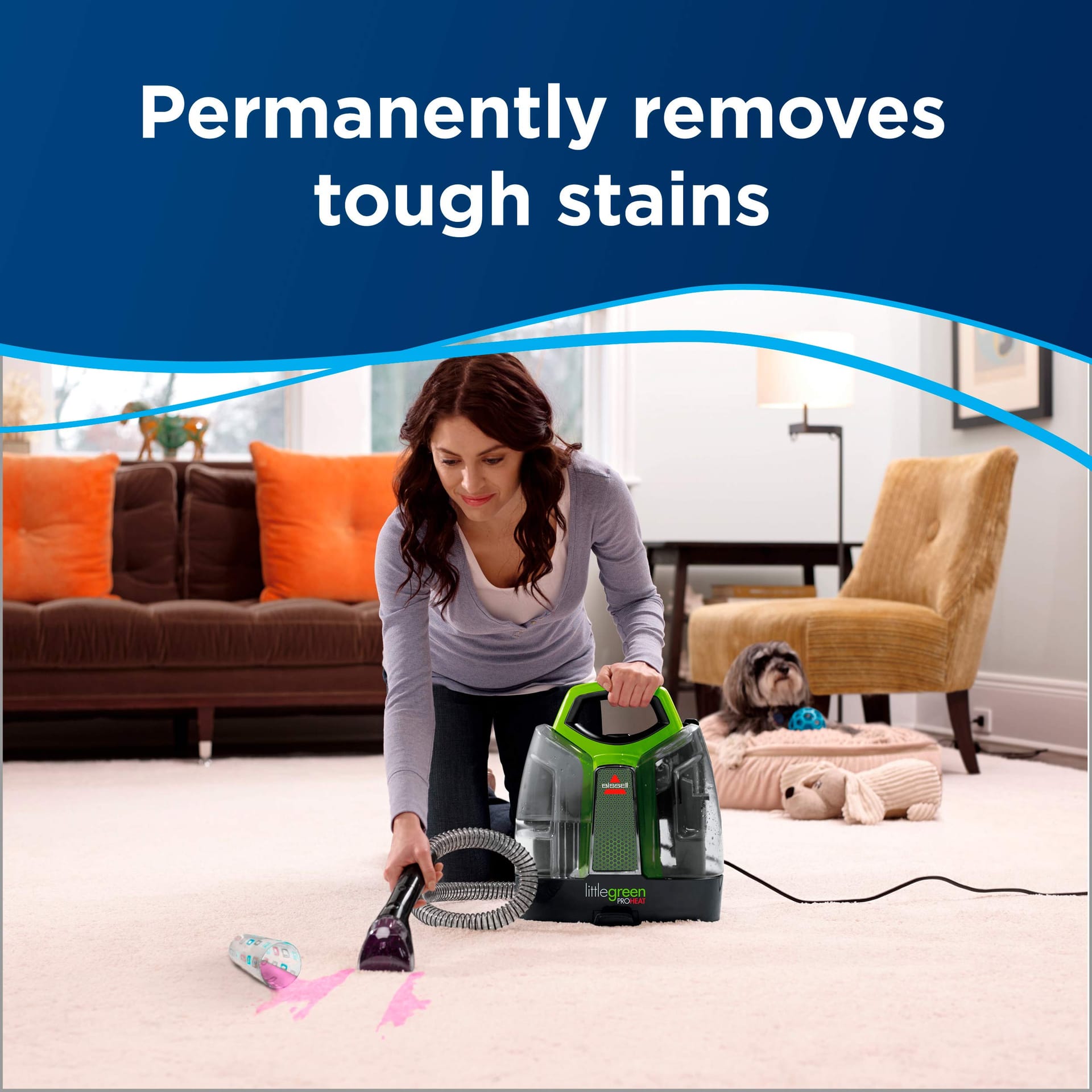 Bissell Little Green Proheat Portable Deep Cleaner/Spot Cleaner 2513B with Self-Cleaning Hydrorinse Tool for Carpet and Upholstery - Review Image 2