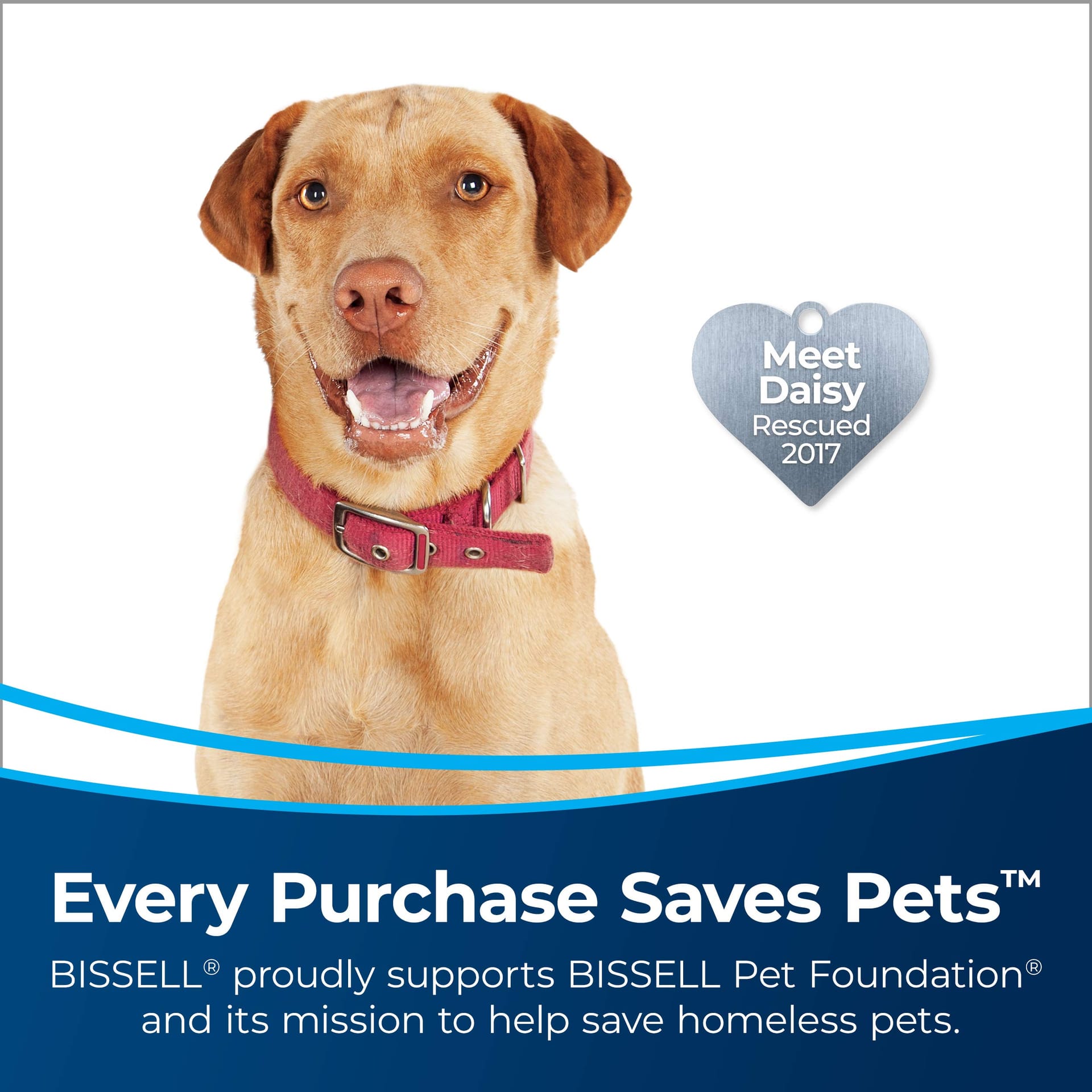 Bissell Multiclean Allergen Pet Slim Upright Vacuum - Powerful Suction, HEPA Filter, Tangle-Free Brush Roll, 31269 - Review Image 2
