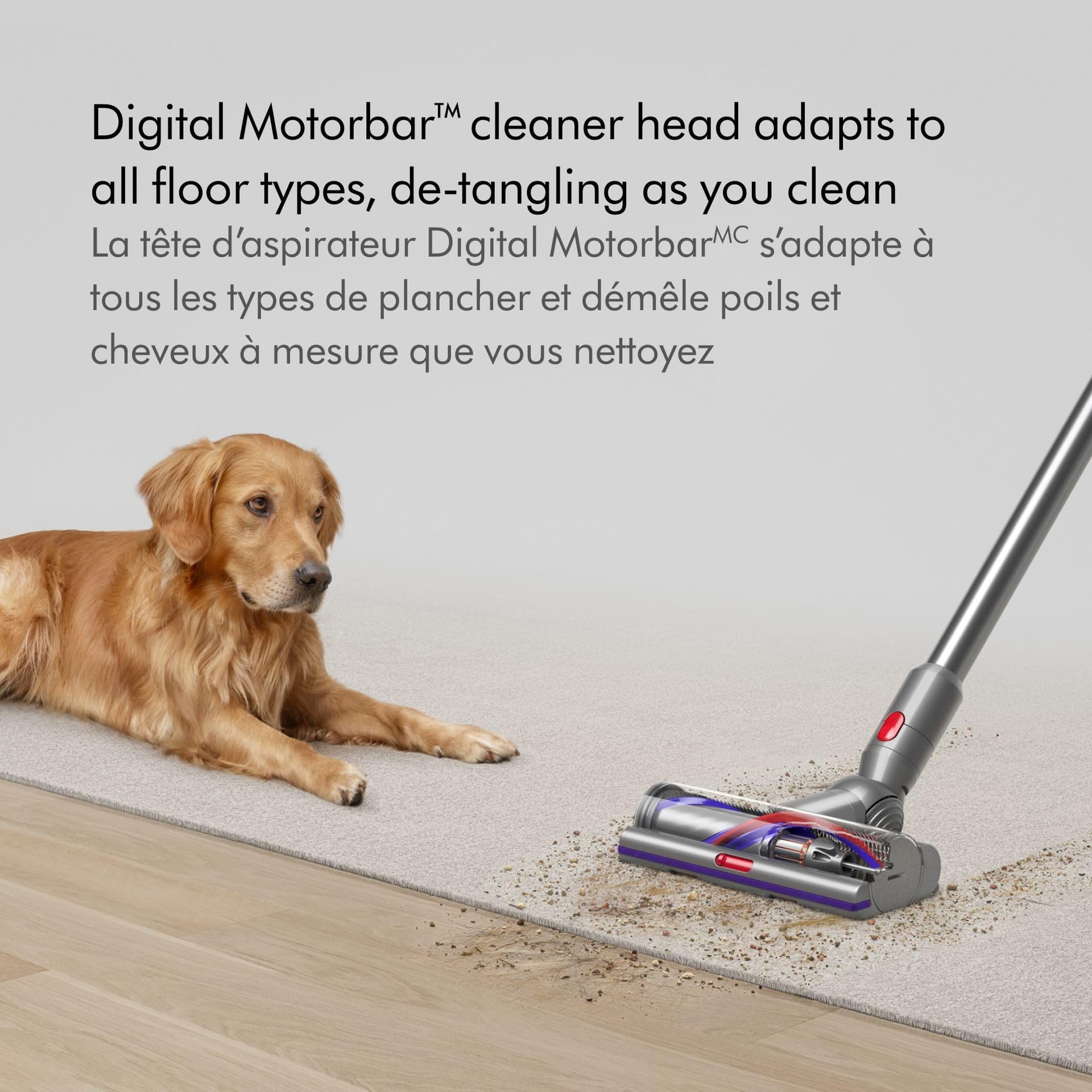Dyson V15 Detect Cordless Vacuum Cleaner - Ultimate Whole-Home Cleaning Power in Yellow/Nickel - Review Image 5