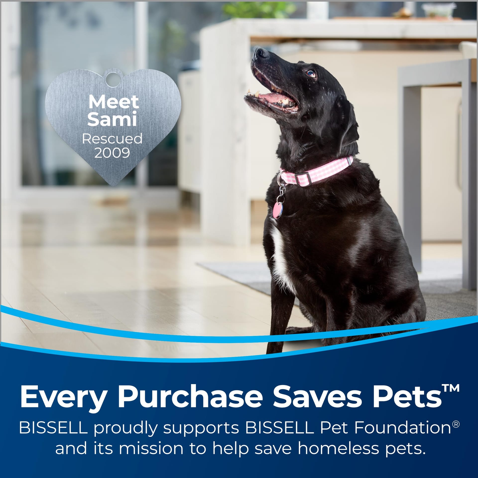 Bissell Cleanview Swivel Pet Reach Full-Size Vacuum Cleaner with Quick Release Wand and Swivel Steering - Review Image 4