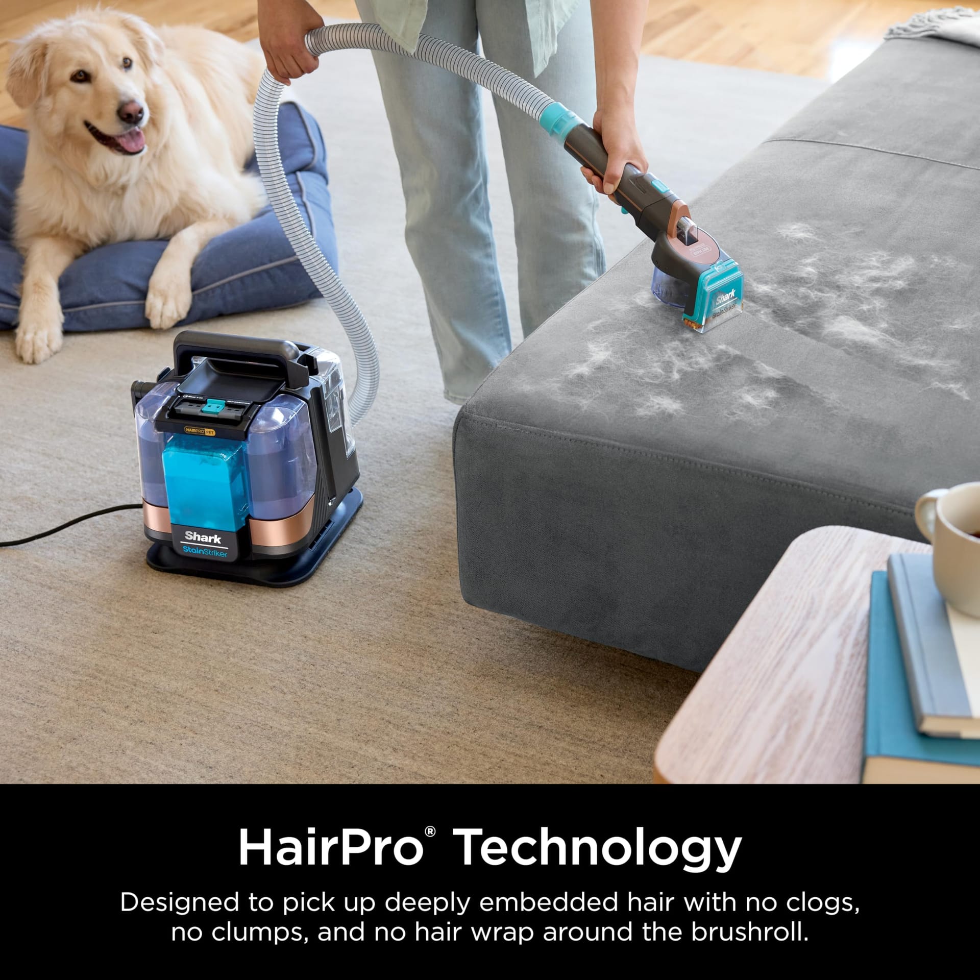 Shark Stainstriker Hairpro Pet Hair Vacuum - Portable Spot, Stain, & Odor Eliminator for Carpets, Rugs, Upholstery, Cars - Includes Bonus Accessories and Cleaning Solutions - Review Image 4