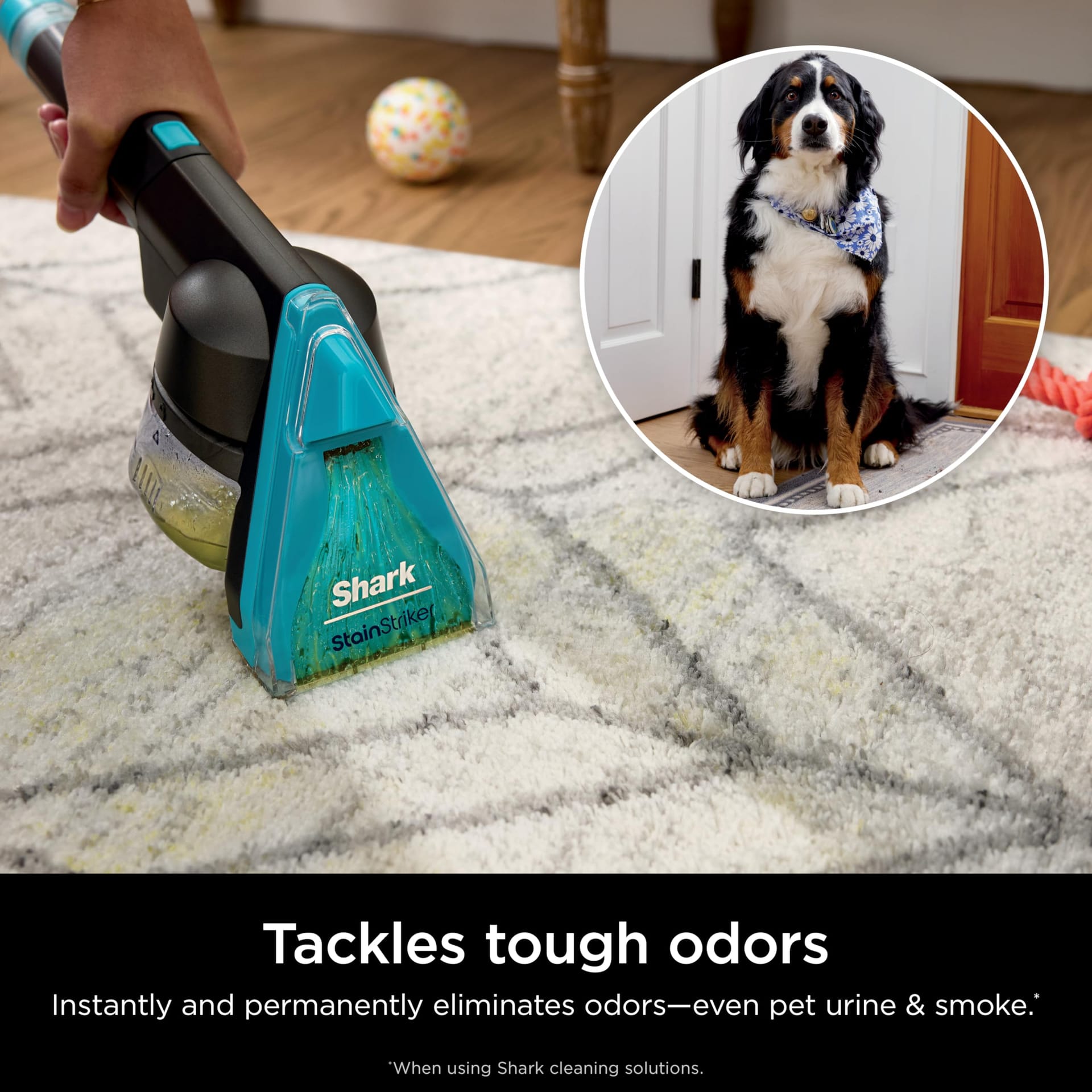 Shark Carpetxpert Hairpro Upright Deep Carpet Cleaner with Stainstriker - Review Image 5