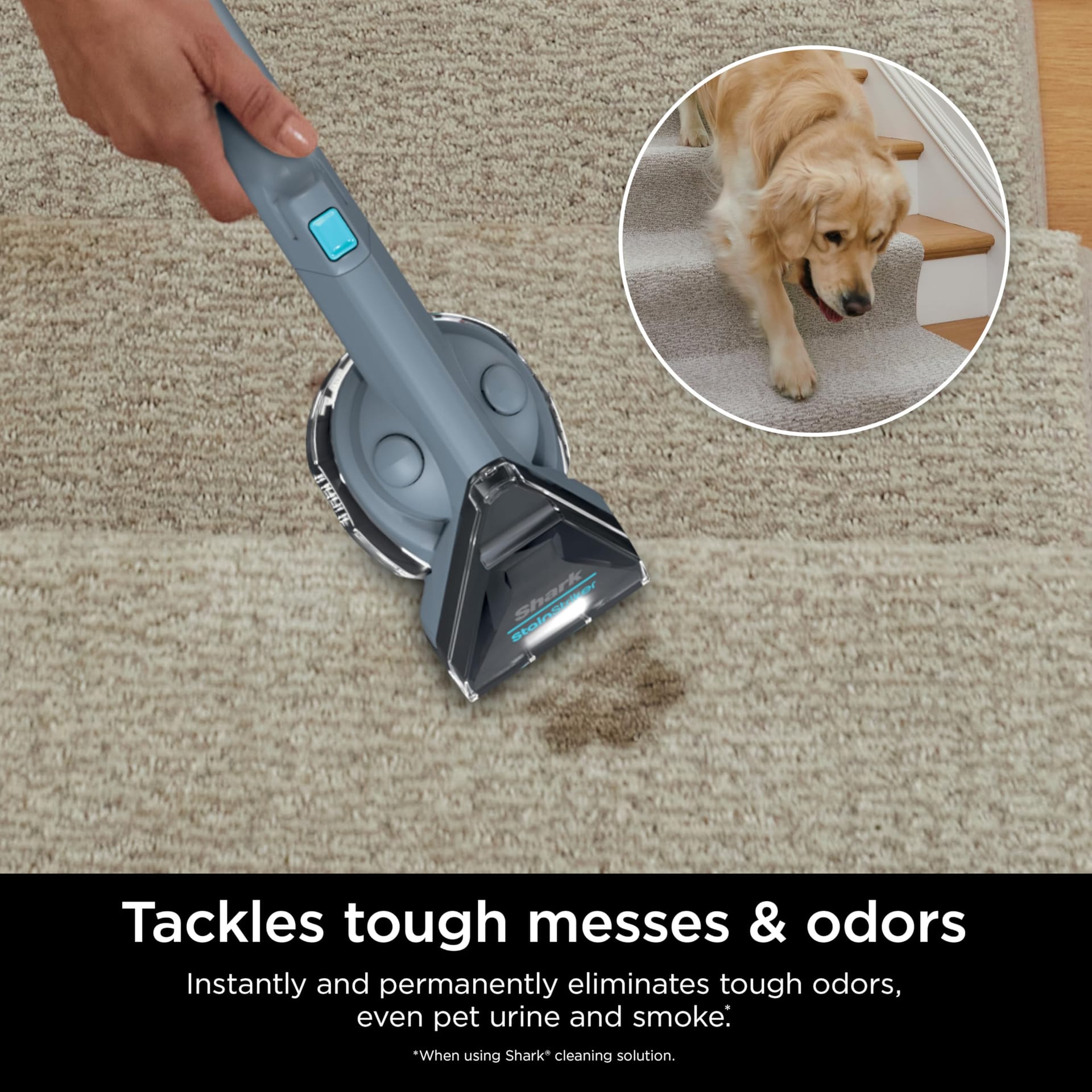 Shark StainStriker Portable Carpet Cleaner Machine with Dual-Activated Solution and Cleaning Accessories, Nordic Blue - Review Image 4