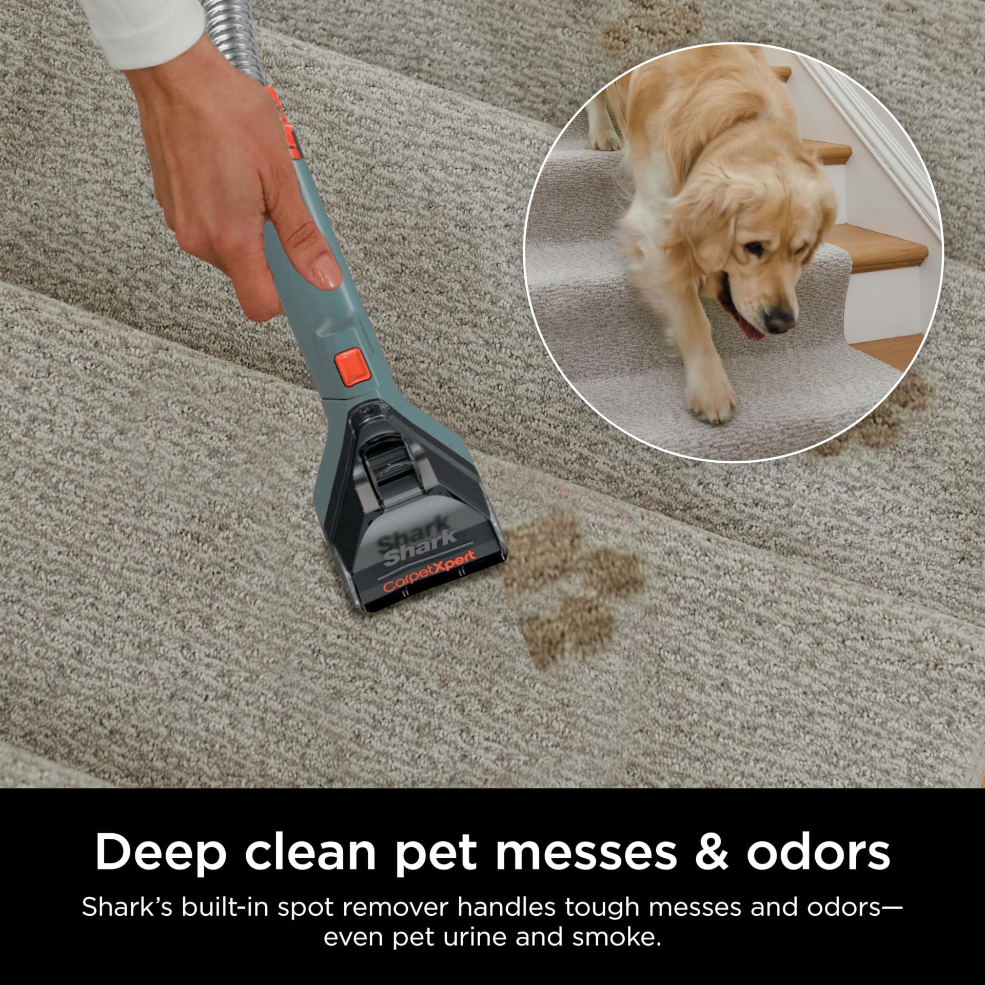 Shark CarpetXpert Ex151 Slate Green Upright Carpet Cleaner for Pets - Deep Cleaning & Stain Removal - Review Image 5