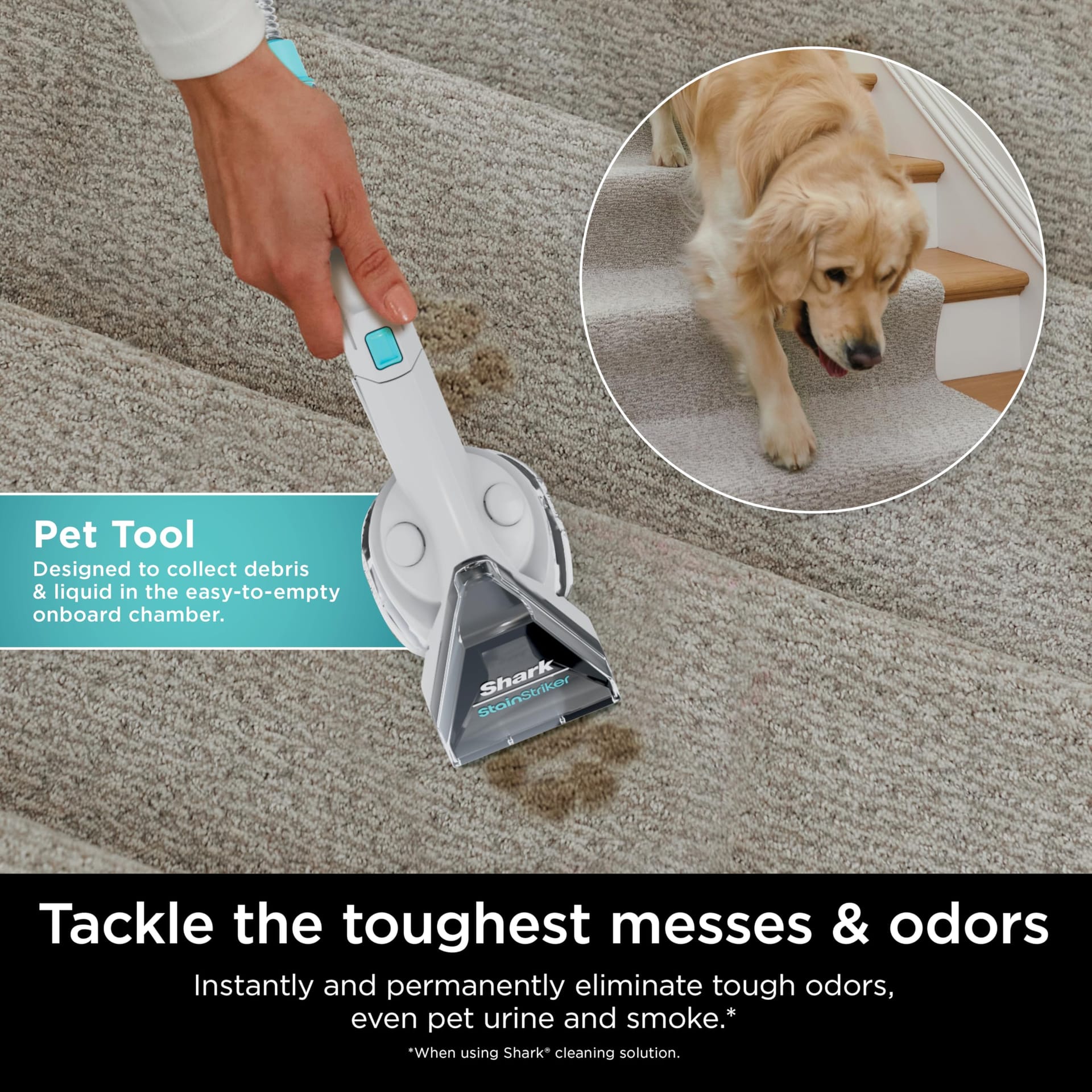 Powerful Shark Stainstriker Portable Carpet & Upholstery Cleaner with 3 Attachments - Ideal for Pets, Carpets, Area Rugs, Couches, Cars & More - Review Image 4
