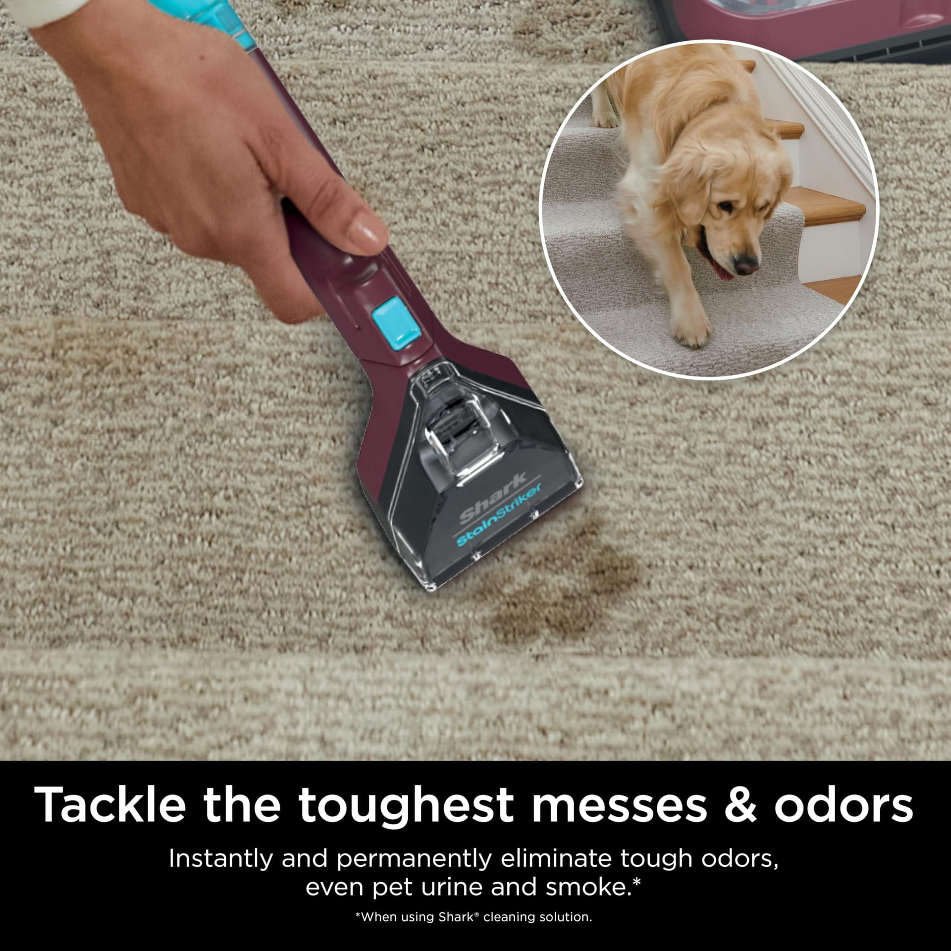 Shark Stainstriker Portable Carpet Cleaner Machine with Dual-Activated Solutions – Perfect for Pet Hair and Tough Stains, Burgundy - Review Image 4