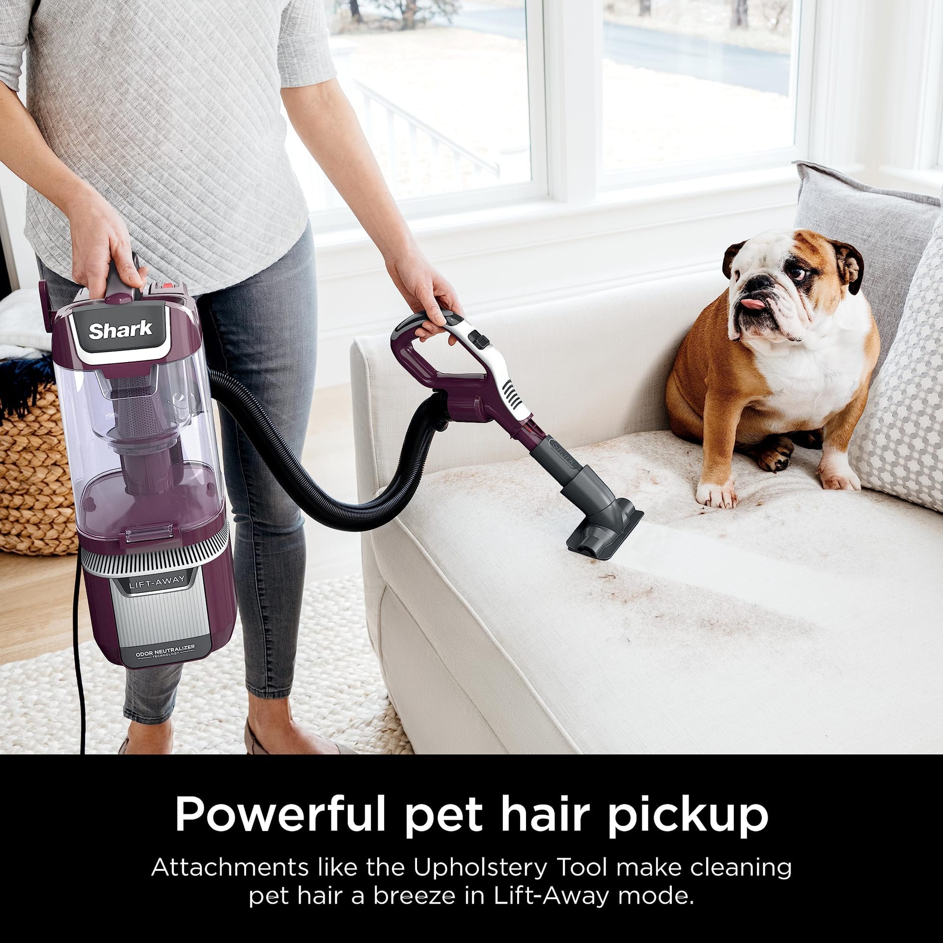 Lightweight Shark LA702 Rotator Pet Lift-Away Adv Upright Vacuum with Duoclean Powerfins Hairpro & Odor Neutralizer Technology, Wine Purple, HEPA Filter - Review Image 5
