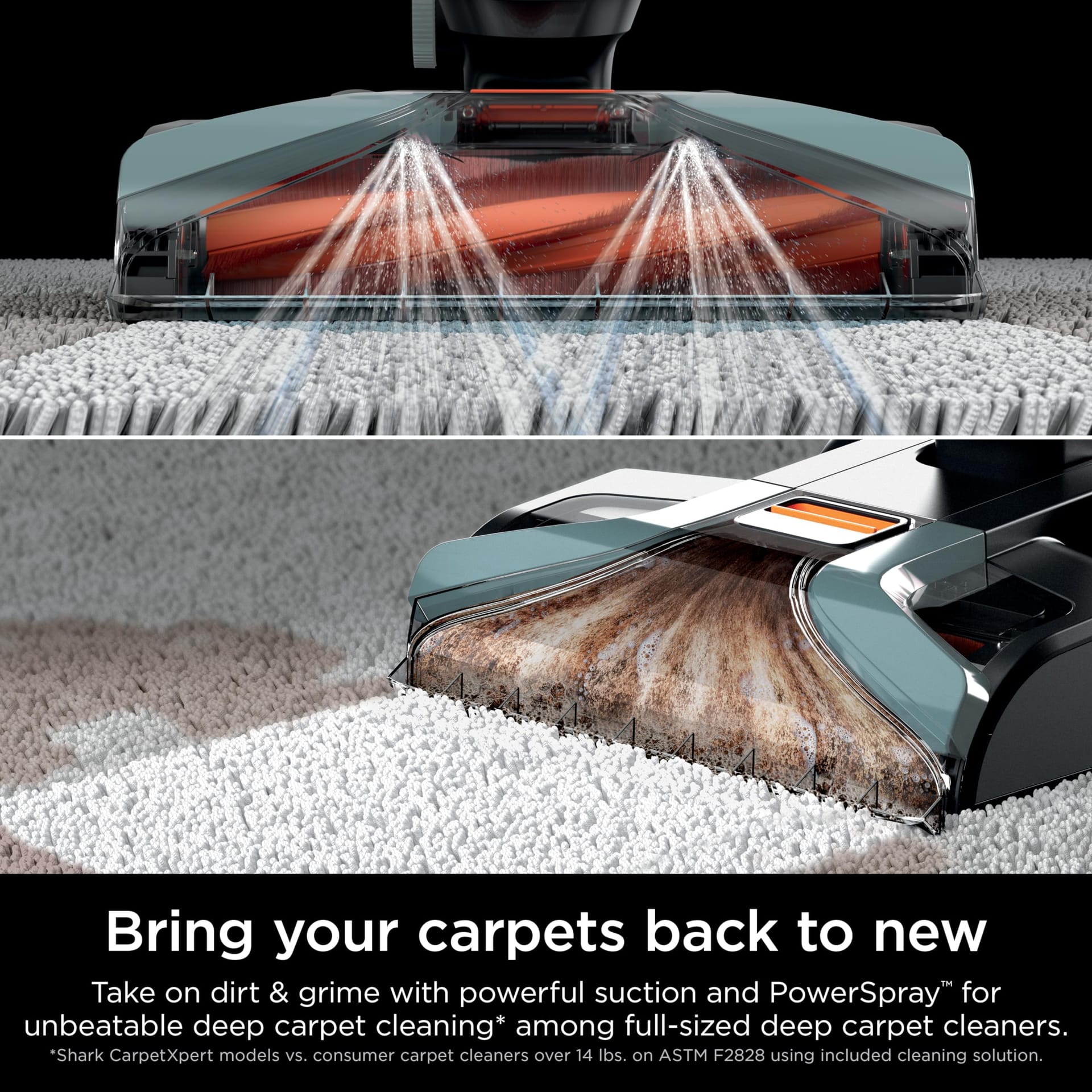 Shark CarpetXpert Ex151 Slate Green Upright Carpet Cleaner for Pets - Deep Cleaning & Stain Removal - Review Image 3