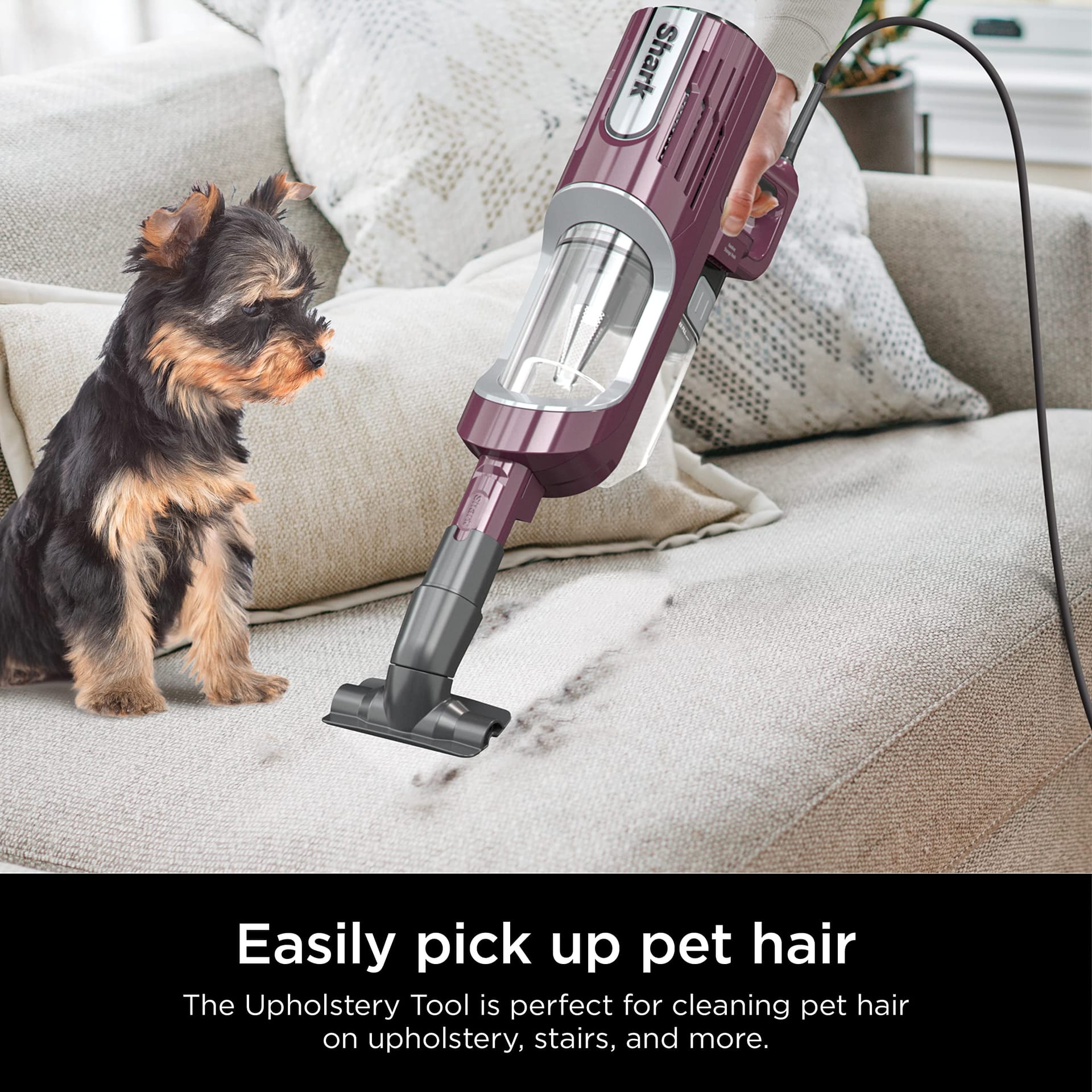 Ultra-Light Corded Stick Vacuum with Powerfins Hairpro and Odor Neutralizer Technology, Crevice & Upholstery Tool, Precision Duster - Wine Purple (Renewed) - Review Image 4