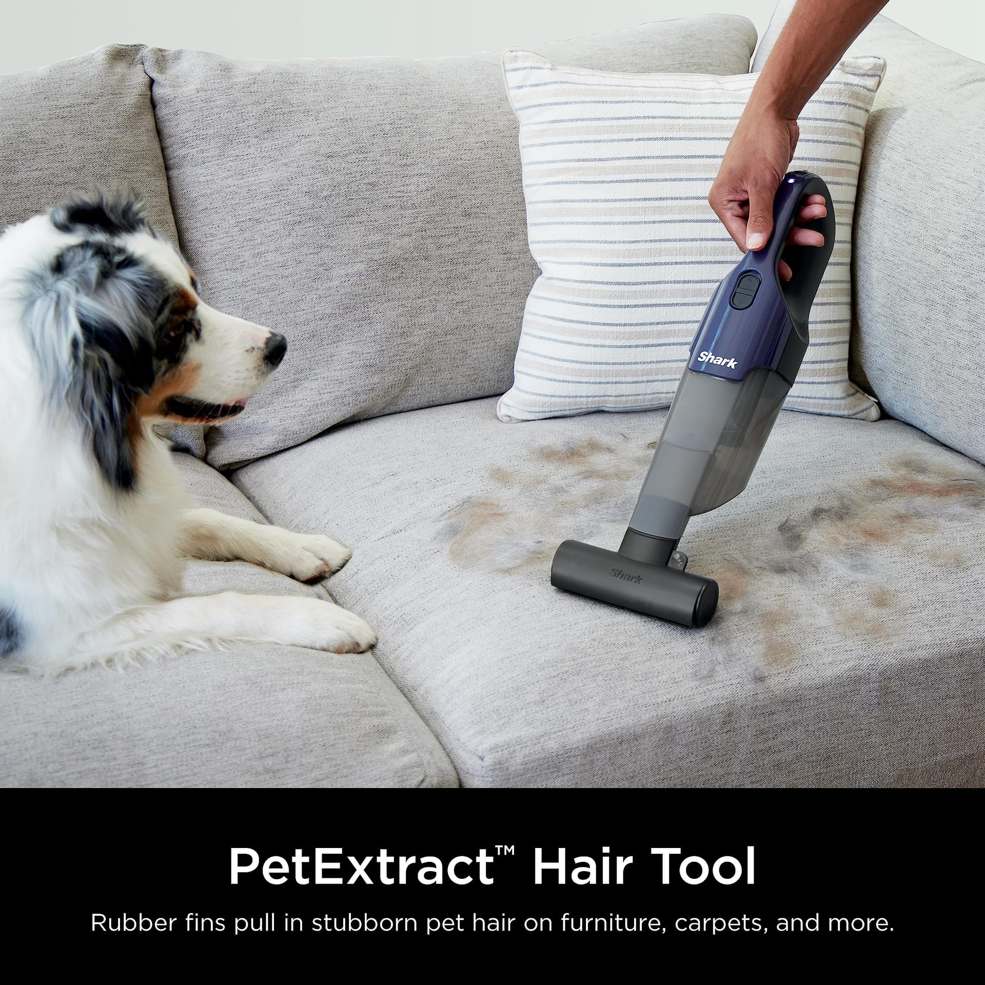 Shark CH701 Cyclone Pet Handheld Vacuum with PetExtract Hair Tool, Hypervelocity Suction, USB Charging, XL Dust Cup, Navy Blue/Grey, Lightweight (1.51 Pounds) - Review Image 3